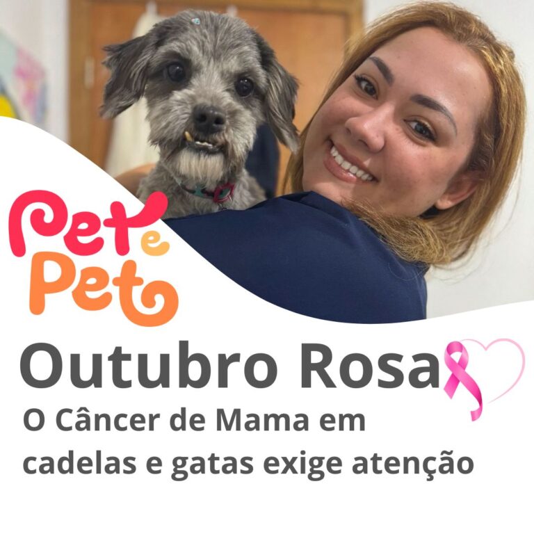 blog outubro rosa pet