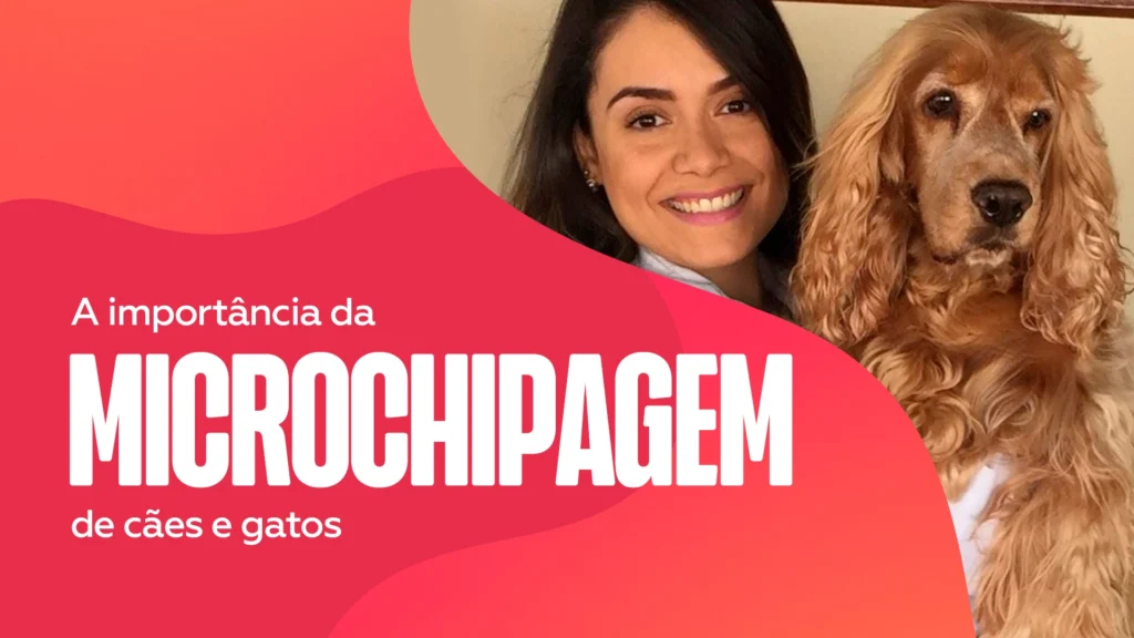 A importância da microchipagem de cães e gatos